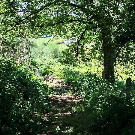 Appartamento Celtainer *