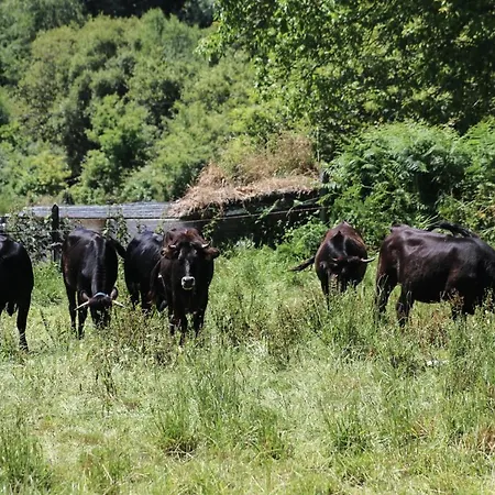 Celtainer Appartamento *