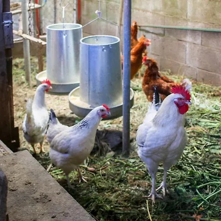 Appartamento Celtainer