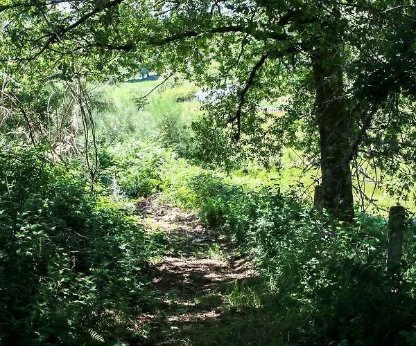 Appartement Celtainer *