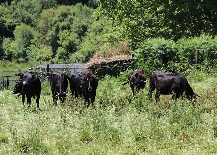 Celtainer Appartement *