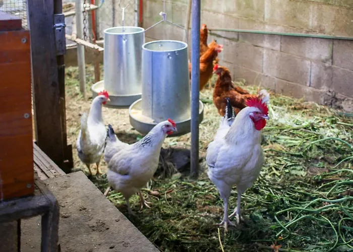 Appartement Celtainer